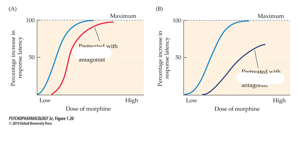 <p>describe what is going on in these graphs</p>
