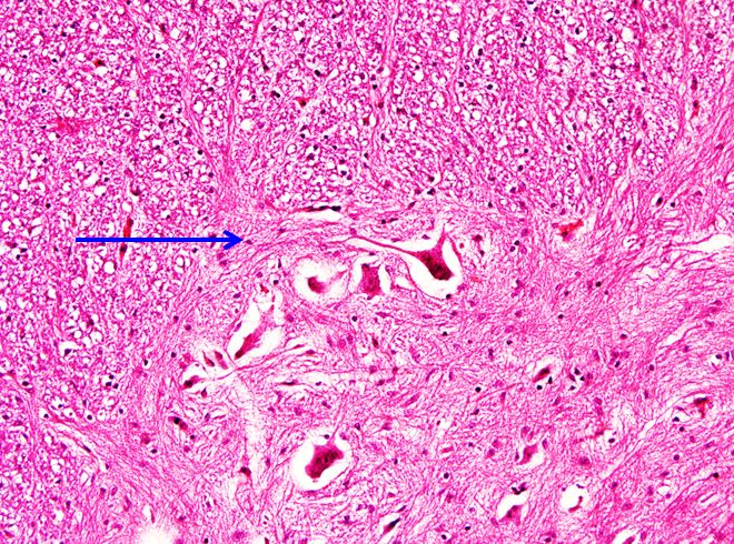 <p>Cấu trúc gì ?</p>