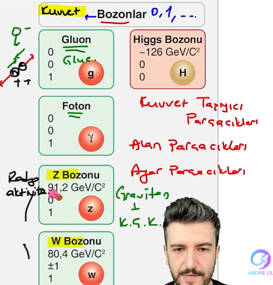 <p>Kuvvet taşıyıcı parçacıklardır.</p><p>Gluon:Güçlü Nükleer Kuvvet taşıyıcı parçasıdır.Kütlesiz ve yüksüzdür</p><p>Foton:Elektromanyetik Kuvvet taşıyıcı parçasıdır.Kütlesiz ve yüksüzdür</p><p>W ve Z bozonu:Zayıf Nükleer Kuvvet taşıyıcı parçasıdır(Radyoaktivite)</p><p>Graviton(Henüz deneysel olarak bulunamadı):Kütle Çekim Kuvvet taşıyıcı parçasıdır</p>