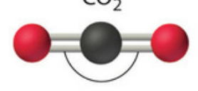 <p>Name this molecular shape</p>
