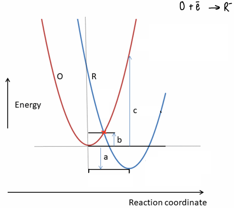 <p>What is Marcus theory?</p>
