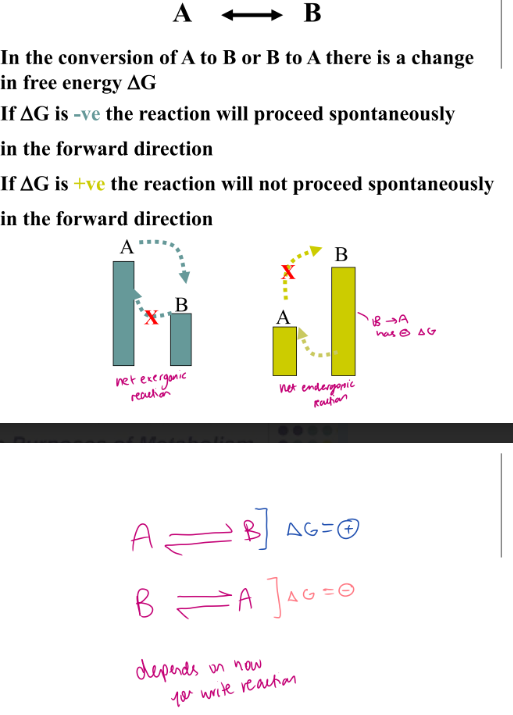 <p> Standard free energy of a reaction is a thermodynamic term:</p><ul><li><p> Biochemical standard state</p></li><li><p> <span>Δ</span>G′° = G'° products - G'° reactants</p><ul><li><p>if its - it means that it happens spontaneously and equilibrium favours products and you dont have to put in energy </p></li></ul></li></ul><ul><li><p> <span>Δ</span>G′° = <span>Δ</span>H – T<span>Δ</span>S</p></li></ul><p></p>