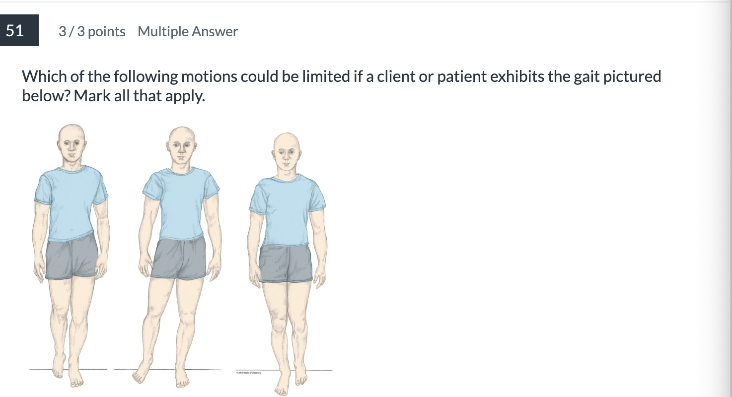 <p><span>Which of the following motions could be limited if a client or patient exhibits the gait pictured below? Mark all that apply.</span></p>