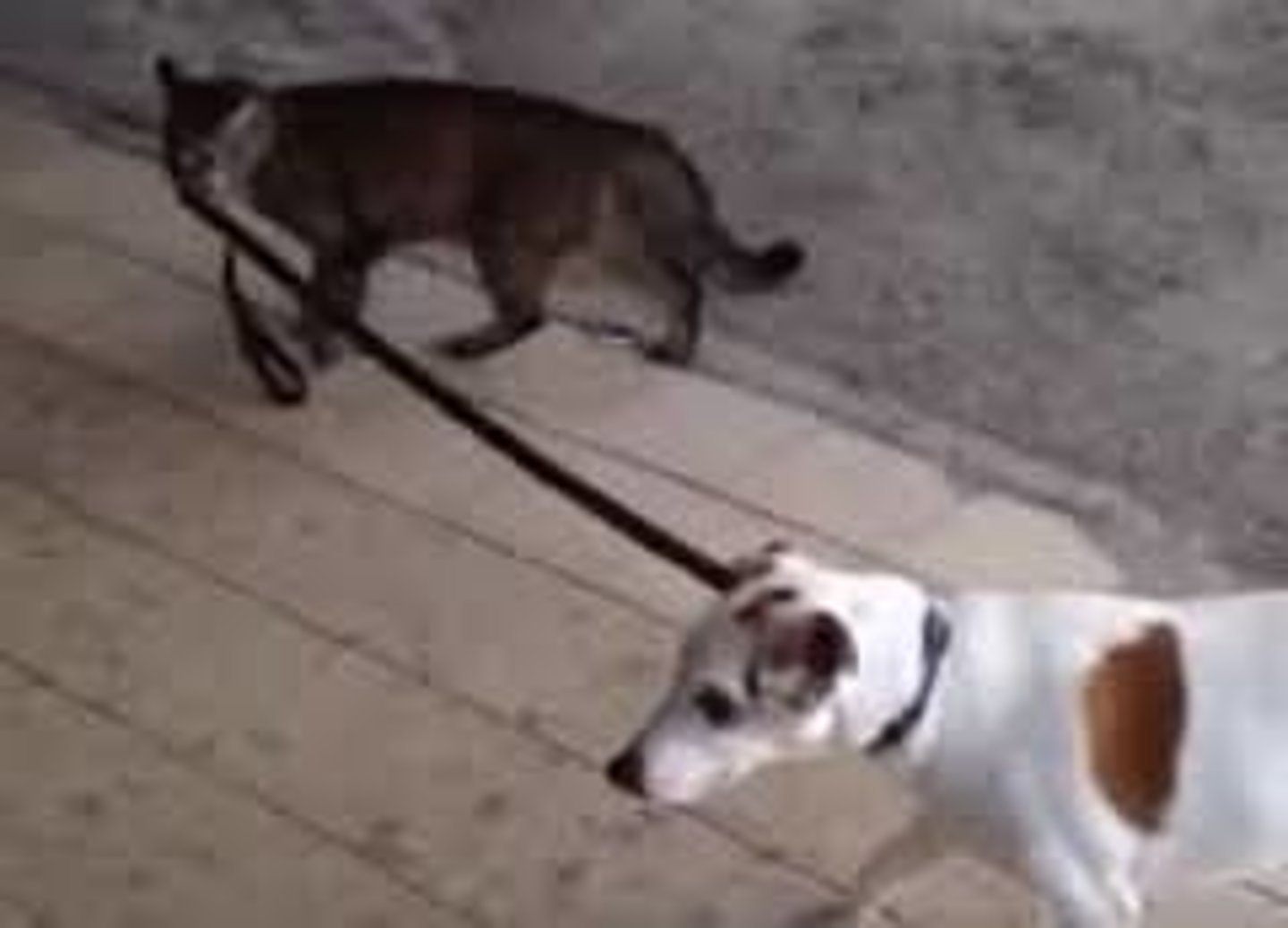 <p>連れる, dẫn đi cùng, 犬を連れて散歩します。</p>