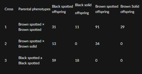 <p>In alpacas,</p><ul><li><p>brown fur coloration is dominant over black</p></li><li><p>spotted fur is dominant over solid coloration</p></li></ul><p>Assume that these effects are caused by two independently assorting genes. For each cross below, determine the genotypes of the parents<strong>.</strong> &nbsp;Use the symbols F and f for the brown and black fur-color alleles and the symbols S and s for the spotted and solid alleles.&nbsp;</p>