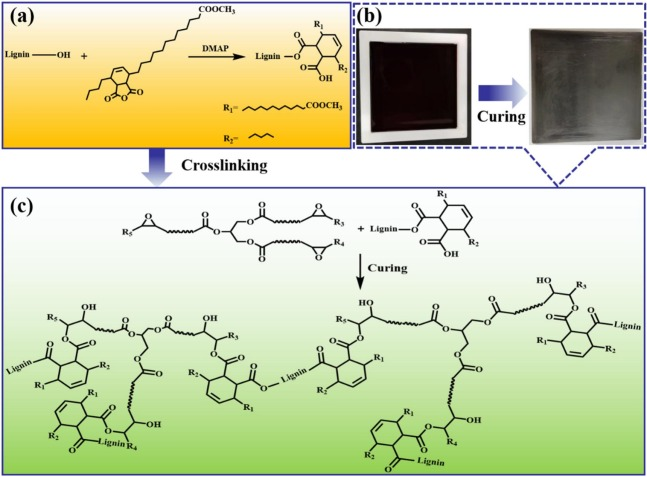 <p>Traditional application field = <strong>cross-linked systems</strong></p><p><u>A </u><strong><u>resin</u></strong><u> is a solid or highly viscous liquid that can be converted into a polymer.</u></p><p><span style="background-color: rgba(255, 236, 132, 0.3);">Epoxy resins</span> form an important and versatile class of cross-linkable polymers made from monomers containing at least two strained-ring groups called oxiranes</p><p><strong><u>Alkyd resins</u></strong></p><ul><li><p>has been applied on large scale for a long time eg. for paints</p></li><li><p>glycerides with unsaturated fatty acids are polyesterified with polyols and diacids</p></li><li><p>fatty acid chains contain double bonds that are prone to H radical absraction by oxygen biradicals during drying leading to crosslinking causing the paint to dry</p><ul><li><p>blending these polymerized oils with different dyes gvies different colored paints</p></li></ul></li></ul><p><strong><u>Epoxy resins</u></strong> (new application of oils)</p><p>= material containing epoxide(s) that can react with crosslinkers to form polymers or highly crosslinked networks</p><p>Curing&nbsp;=&nbsp;epoxide&nbsp;ring&nbsp;opening&nbsp;and&nbsp;crosslinking&nbsp;that&nbsp;turns&nbsp;the&nbsp;resin&nbsp;into&nbsp;a&nbsp;solid&nbsp;material.</p><p><strong>So here the epoxidized fatty acids are the epoxy resins that after curing or polymerization are turned to a crosslinked network for instance for coating.</strong></p><ul><li><p>traditional approach</p><ul><li><p>Bisphenol A attacks on epichlorohydrin forming a new epoxide</p></li><li><p>can be attacked by other O- of bisphenol A and so on forming prepolymers that need to be crosslinked</p></li></ul><p></p></li></ul><img src="https://assets.knowt.com/user-attachments/5a5ab936-59fe-40f3-a720-354410f3d04d.png" data-width="100%" data-align="center"><ul><li><p>However</p><ul><li><p>bisphenol A is hormone dirsupting adn epichlorohydrin is carcinogenic so alternatives are needed</p></li></ul></li></ul><ul><li><p>Crosslinking = curing</p><ul><li><p>Amine based crosslinking</p><ul><li><p>reacts with epoxide terminal groups (only two per prepolymer)</p></li><li><p></p><img src="https://assets.knowt.com/user-attachments/83ddc1bd-4f0d-48d4-b42c-d5d9843573ee.png" data-width="100%" data-align="center"></li><li><p>so need at least a trifunctional crosslinker for crosslinking to occur (NH2 is difunctional)</p></li></ul></li><li><p>anhydride based crosslinking (phtalic anhydride)</p><ul><li><p>Although it phtalic anhydride is a bifunctional crosslinker</p></li><li><p></p><img src="https://assets.knowt.com/user-attachments/1d91f37a-55eb-4bd5-b633-59f11e643b7b.png" data-width="100%" data-align="center"></li><li><p>it reacts with both the epoxide end groups and the interal OH groups,</p></li><li><p>so the prepolymer acts as the multifuncional entity</p></li></ul></li></ul></li><li><p>Alternatives to epichlorohydrin and bisphenol A: Epoxides form vegetable oil</p></li><li><p></p><img src="https://assets.knowt.com/user-attachments/775bb45d-c553-4d62-a2c0-08f045bd0004.png" data-width="100%" data-align="center"><ul><li><p>double bonds can be oxidized to epoxides using H2O2 which can be polymerized</p><ul><li><p>H2O2 is a green oxidant</p></li><li><p>CHOOH only used in catalytic amounts</p></li><li><p>and only produces water as waste</p></li><li><p>can alos introduce more than 1 epoxid allready introducing some crosslinking</p></li><li><p>in these examples they show these vegetavl oil epoxides as crosslinkers because attached to glycerol</p></li><li><p></p></li></ul></li><li><p>epoxidized fatty acids can then be crosslinked</p><ul><li><p>degree of unsaturation and degree of epoxidation determine corss linking density and thus material properties like Tg and tensile strength</p></li></ul></li></ul></li></ul><p><strong><u>Polyurethane resisns</u></strong> (new application of oils)</p><ul><li><p>epoxides can also be turned into alcohols forming polyols if it contains more double bonds</p><ul><li><p>higher crosslinking density is stronger material properties</p></li><li><p>higher I value = higher Tg and higher tensile strength</p></li></ul></li></ul><p></p>