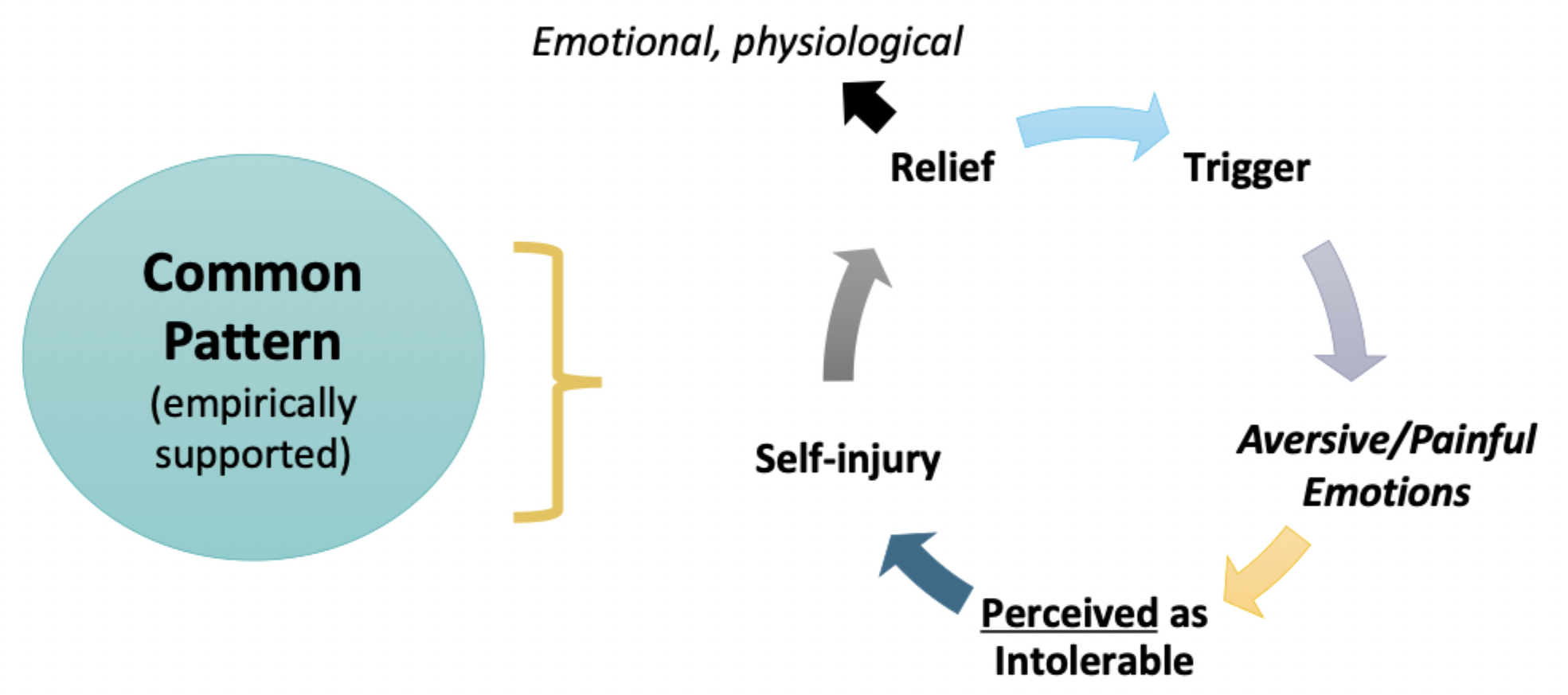 <p>many people who self-injure report difficulty with coping/emotion regulation</p><ul><li><p>current lived experience → past lived experience → no lived experiene</p></li></ul><p></p><p>people who self-injure often report <strong>more difficulty</strong> tolerating difficult emotions &amp; <strong>want to escape </strong>these experiences quickly</p><p></p>