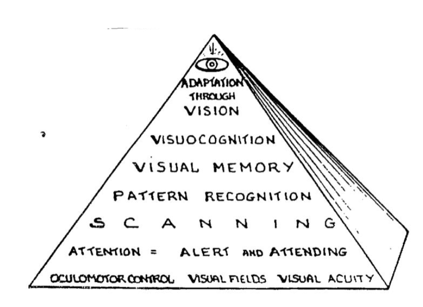 <p>oculomotor control- allow eyes to move smoothly, coordinated through pursuits, saccades, ability to accommodate and fixate, focus of target on fovea of retina (head movement, gaze shift, fixation); binocular vision</p><ul><li><p>impairments: diplopia, reduced depth perception, difficulty tracking, reduced fixating/localizing, strabismus, convergence insufficiency</p></li></ul><p></p><p>visual field- amount of visual surroundings that can be seen when a person looks straight ahead; monocular peripheral vision and binocular cen</p><ul><li><p>impairments: hemianopia, quadrantopia, depends on lesion location where visual field deficit is</p></li></ul><p></p><p>visual acuity- ability to see clear and precise images for small visual details</p><ul><li><p>impairments: difficulty focusing, damage to the retina, optic nerve, posterior cortical processing</p></li></ul><p></p>