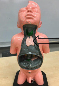 <p>What is this?</p>