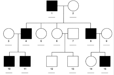 <p>all males of a family will express the trait, no females</p>