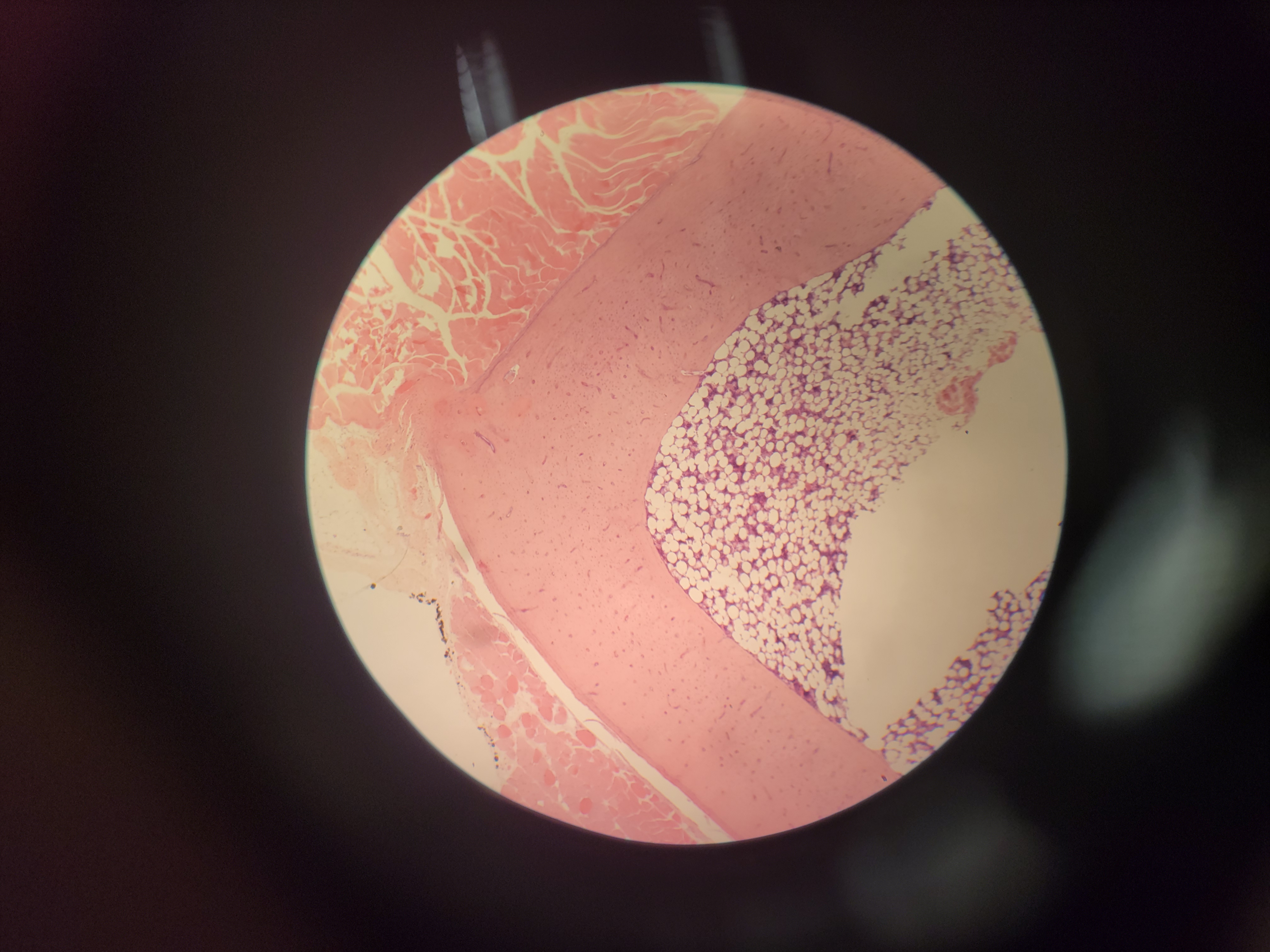 <p>What is this?</p>