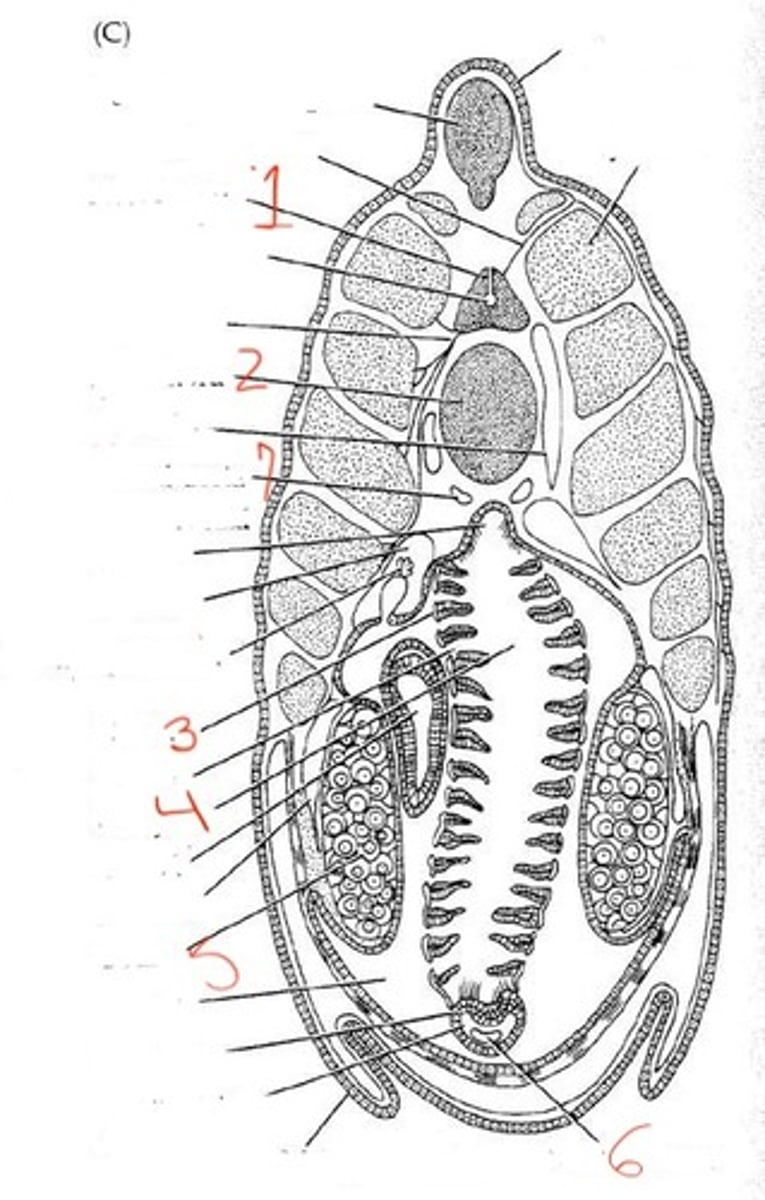 <p>what is 4?</p>