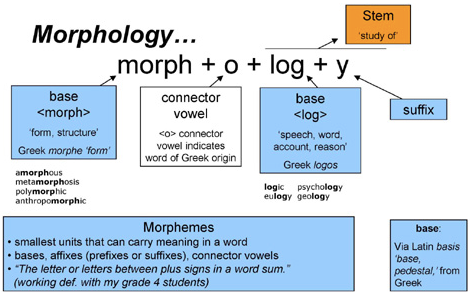 <p><span style="color: mediumseagreen !important;"><strong>Morphology</strong></span><span> refers to the&nbsp;</span><strong>building blocks</strong><span>&nbsp;of words</span></p>