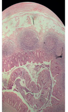 <p>What is shown?</p>