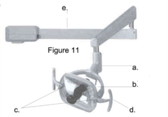<p>B</p>