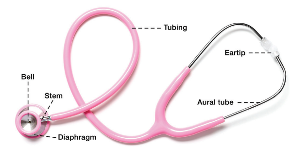 <p>What is each part of the stethoscope </p>