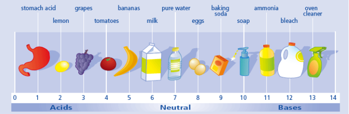 <p><span style="background-color: transparent; font-family: "Twentieth Century", sans-serif;">Scientists use a <strong>pH scale. </strong>pH means "power of hydrogen”.</span></p>