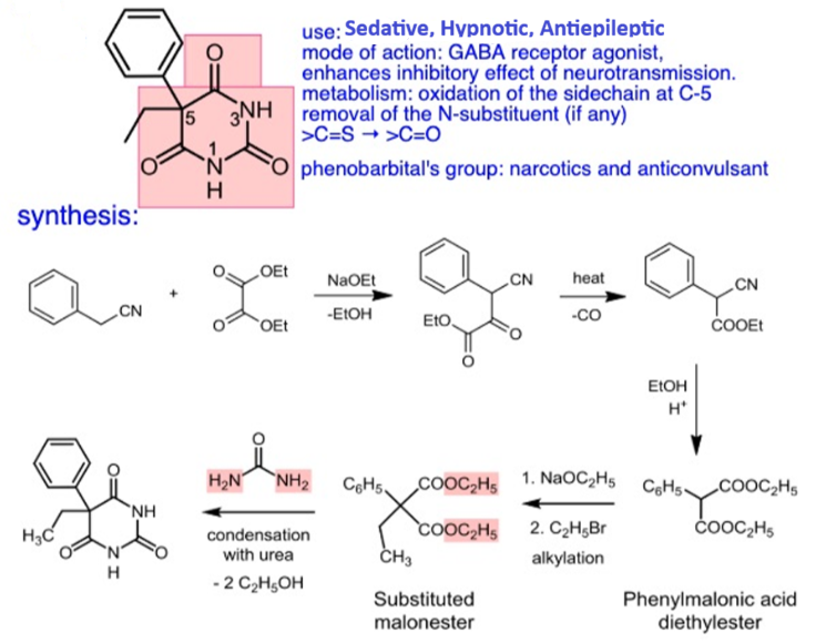 <p>Structure Activity relationship: Phenobarbital’s activity depends on 5,5-disubstitution</p>