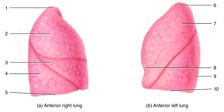 <ol start="7"><li><p></p></li></ol><p></p>