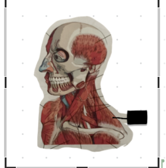 term image