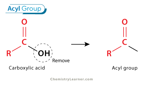<p>a functional group typically derived from a carboxylic acid by removing the hydroxyl group. </p><p>The Carbonyl: A carbon double-bonded to an oxygen </p><p>The Chain: An alkyl or aryl group attached to that carbonyl carbon.</p><p>The Open Bond: A free, single bond on the carbonyl carbon ready to connect to a nucleophile or another molecule.</p><p>Because that open bond is attached to a carbonyl carbon, it is highly reactive. The oxygen pulls electron density away from the carbon, making it a prime target for chemical reactions.</p>