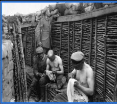 <p>what is this a picture of?</p>