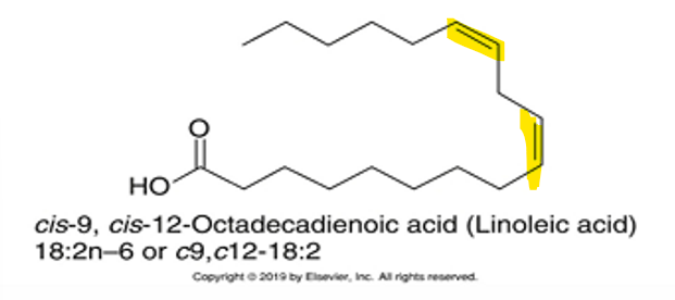 <p>FA contains more than 1 = bond </p>