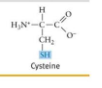 <p>What functional group is this?</p>