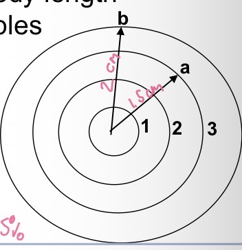 <p>Back calculation</p><p>Radius a = 1.5 cm</p><p>Radius b = 2 cm</p><p>Shark toady = 4 m</p>