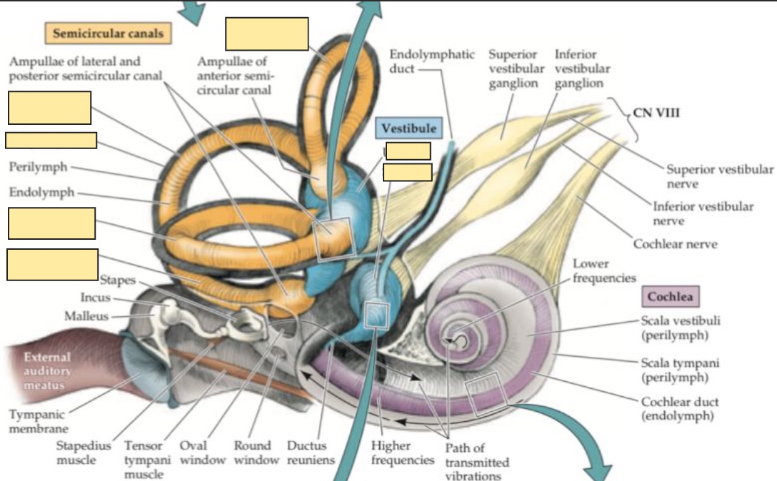 <p>Left to right clockwise</p>