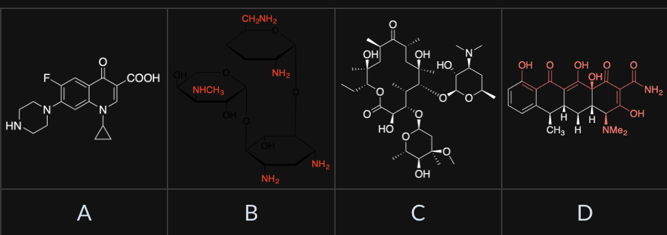 <p><span>Gentamicin is an antimicrobial agent that belongs to the class of aminoglycosides. Aminoglycosides are characterised by several rings of amino-sugars linked together. Which amongst the following is gentamicin?</span></p>