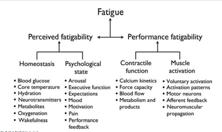 <p>“it would be good to remember just one thing in each category”</p>