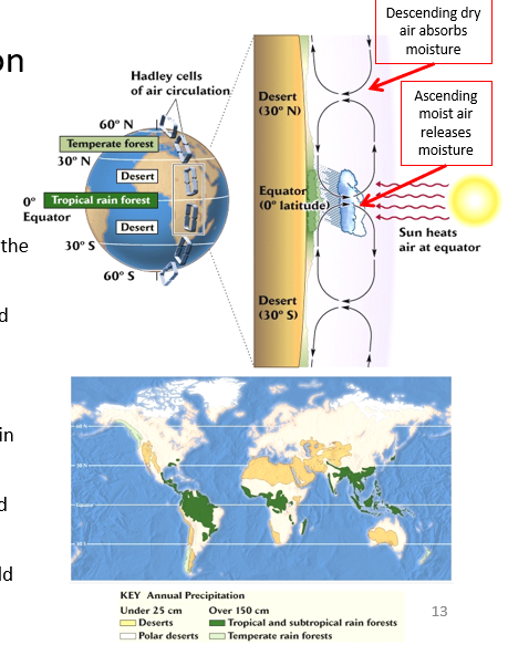 <p>Global Climate </p>