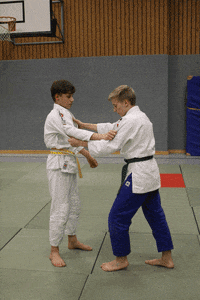 <p>One arm shoulder throw </p>