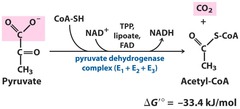 <p>1. - CO2 </p><p>2. Heat</p>