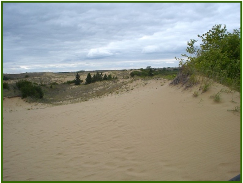 <p>Sorted glacial debris deposited by meltwater beyond a terminal moraine. </p>