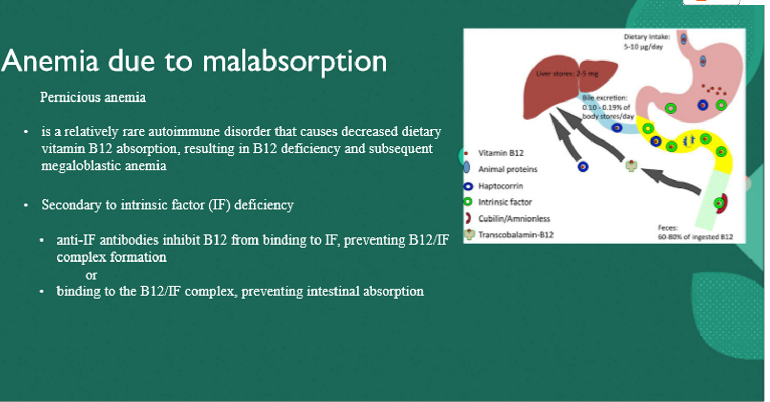 <p>intrinsic factor</p>
