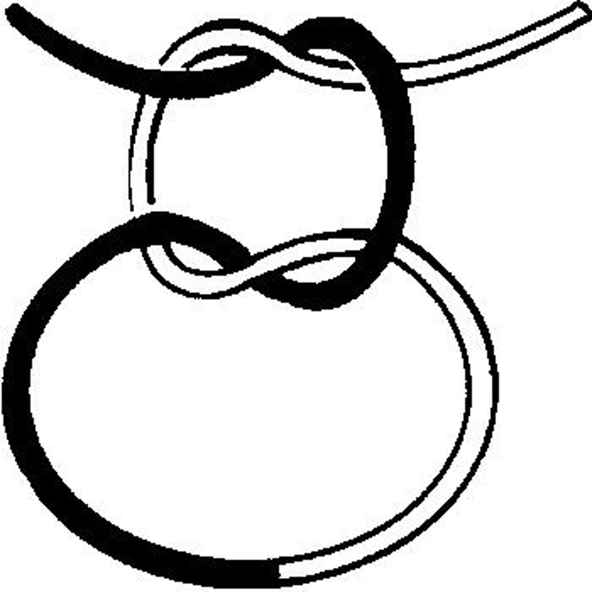 <p>a nonslip, noose-forming knot</p>