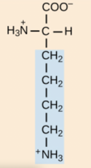 <p>side chain pka: 10.5</p>