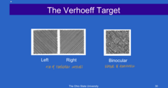 <p>The Verhoeff Target (Pic)</p>