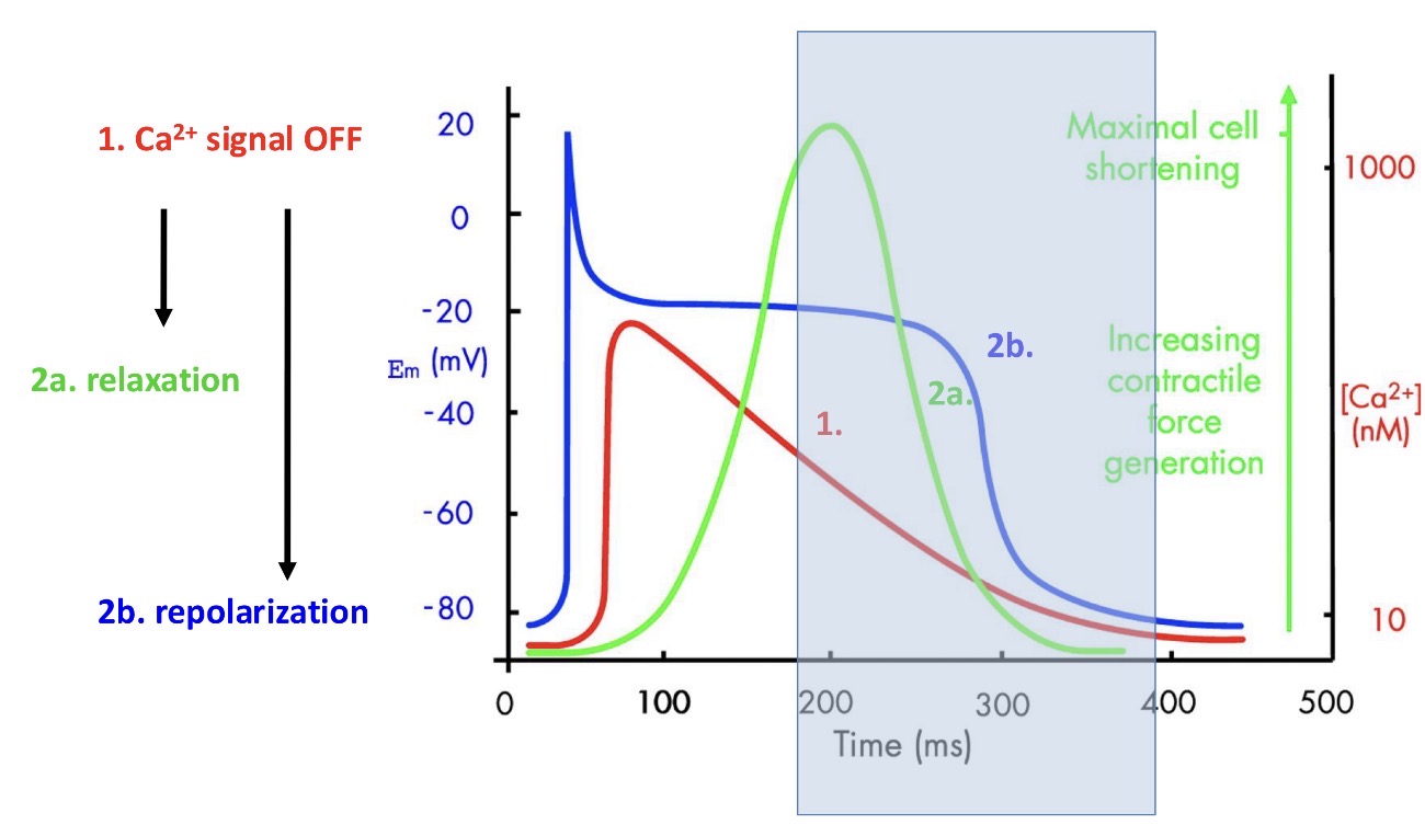 <p>What happens here:</p>