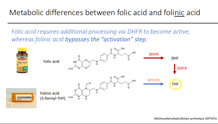 <p>DHFR to become active </p>