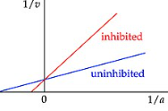 <p>inter. on y axis</p>