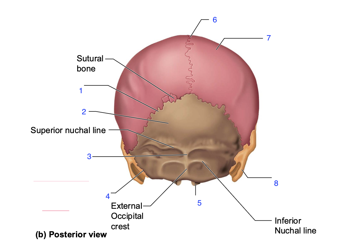 <p>1</p>