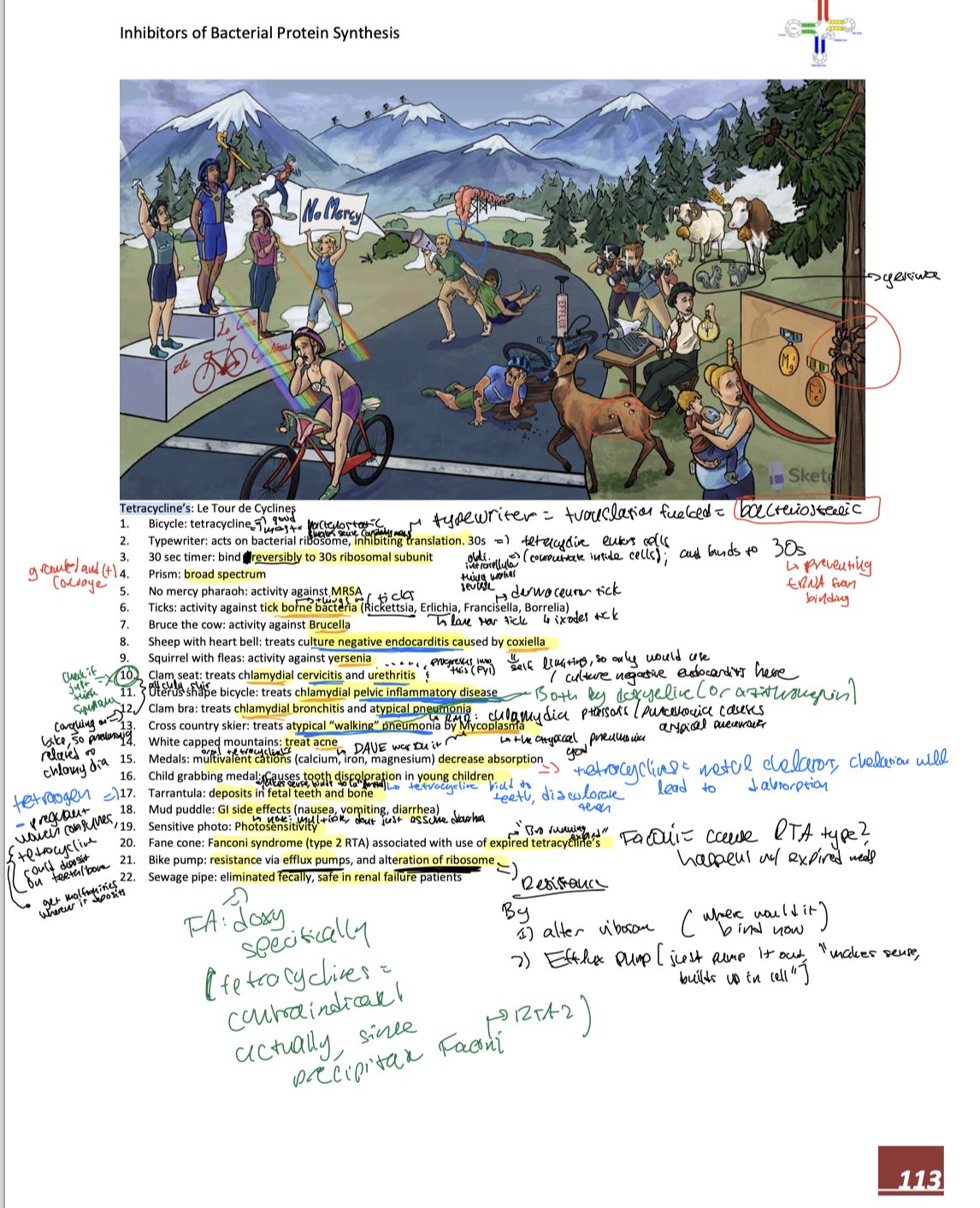 knowt flashcard image