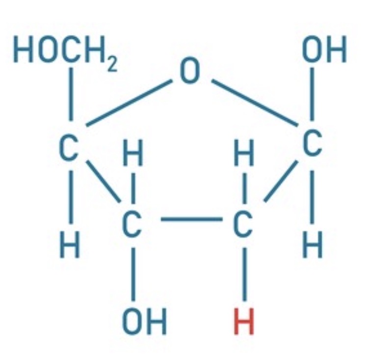<p>Identify this.</p>