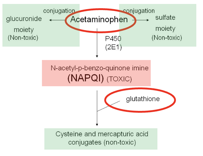 <p>Acetaminophen toxicity</p>