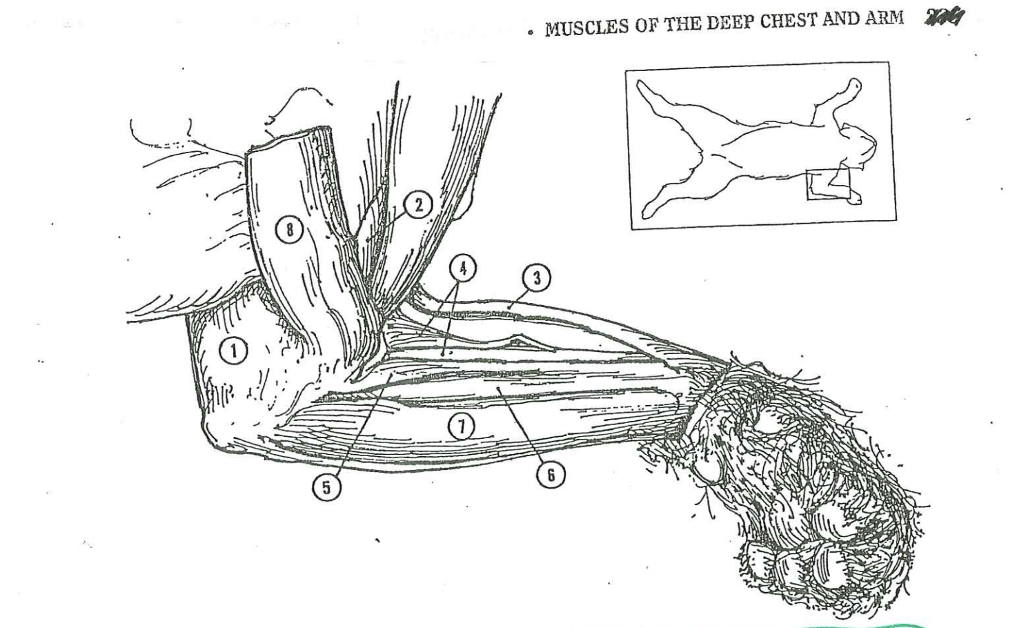 <p>Name 6</p>
