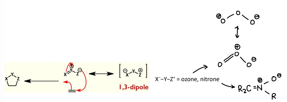<p>The addition of a 1,3-dipolar compound with an alkene.</p>
