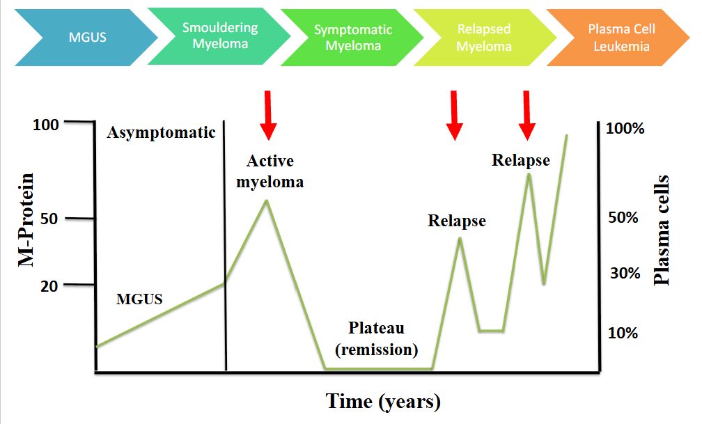 <p>Natural History of Myeloma</p>
